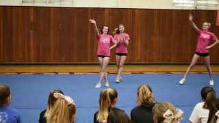 PLHS Cheer Tryout Example Video [upl. by Yettie]