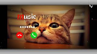 NEW SMS RINGTONE 2024 ¦¦ RINGTONE PHONE mp3ringtone mobilephoneringtone smstone [upl. by Alair952]