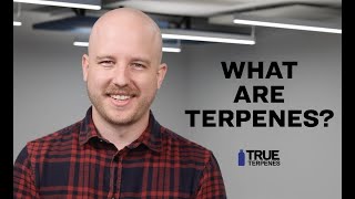 What are terpenes [upl. by Drawe]