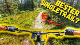 UNGLAUBLICHER Singletrail  E Bike in NORWEGEN  toffer [upl. by Ojibbob]