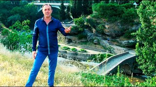 Esad Merulic  Most OFFICIAL VIDEO 2020 [upl. by Neiman563]