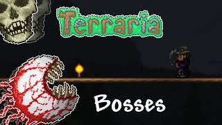 Terraria 14  The Guide to ALL Bosses [upl. by Hebner]