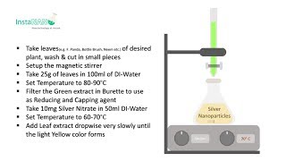 Synthesis of Silver Nanoparticles by Leaf Extract  InstaNANO [upl. by Bernard]