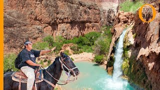 Havasupai tribe Native American Indian guardians of the Grand Canyon [upl. by Doownil487]