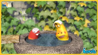 LARVA NEW MOVIES 2025 TAKE A SHOWER  FUNNY VIDEO  Mini Series from Animation LARVA [upl. by Elinor]