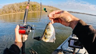 4 Hours of RAW and UNCUT Kayak Catfishing  Dragging Cut Bait on the Tennessee River [upl. by Yarled]