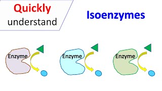 Isoenzymes [upl. by Anneehs]