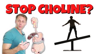 Who Should and Should NOT Use Choline [upl. by Loralie]