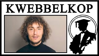 Kwebbelkop’s Apology Video Is AI Generated [upl. by Aipmylo]