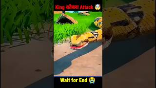 Mini aant and king cobra 🤯shorts youtubeshorts trending [upl. by Onaimad742]