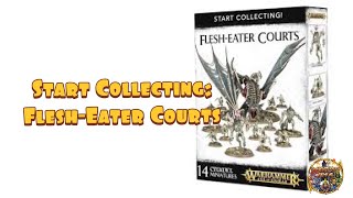 Start Collecting Age of Sigmar 3rd Edition FleshEater Courts [upl. by Mame]