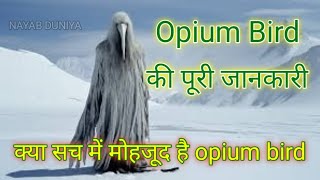 अफ़ीम पक्षी  Opium bird की पूरी जानकारी l [upl. by Blayze]