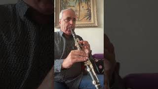 Ornament 1 of Petrnella Clarinet B♭ Selmer lygeros music interpretation clarinet learn [upl. by Omer]