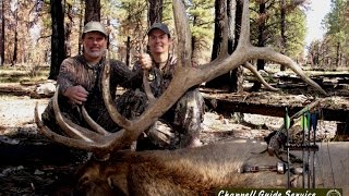 Arizona Elk Hunting Unit 9 Arizona Archery Elk Hunt Pro Video [upl. by Eneri]