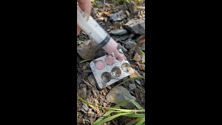 Survival Bushcraft Simple But Very Useful in Forest bushcraft camping outdoors survival shorts [upl. by Manas204]