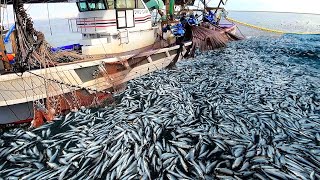 Life On Largest Midwater Trawl Vessel  Fishing trip on trawler the High Sea 05 [upl. by Gnilyam]