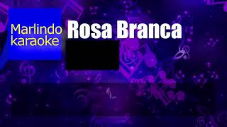 Rosa branca  Os Fazendeiros  Karaoke com back vocals [upl. by Sylvanus775]