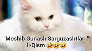 quotMoshib Gunash Sarguzashtlari quot 1Qism 🤣🤣🤣 [upl. by Betz202]