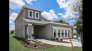 Home Tour  Willow Plan by Meritage Homes at WaterGrass  Wesley Chapel FL [upl. by Stormy]