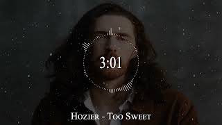 Hozier  Too Sweet [upl. by Yalc]