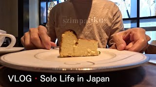 Solo Life in Tokyo Oedo Antique Market  Walking around Moto Yawata  French Bistro Hidden Gem [upl. by Khudari]