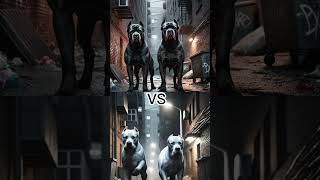 CANE CORSO VS DOGO ARGENTINOROTTWEILERGERMAN SHEPHERD AND OTHERSWHO WILL WIN [upl. by Joellen]