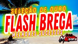 FLASH BREGA  SELEÃ‡ÃƒO DE OURO  OS MELHORES SUCESSOS PRA VOCÃŠ RECORDAR [upl. by Oriane965]