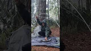 solo camping heavy rain relaxing rain sound and thunder shorts solocamping [upl. by Nasho]