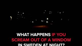 This is what happens if you scream out of a window in sweden at night [upl. by Akcinat]