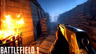 【BF1】夜戦塹壕戦突入【BATTLEFIELD 1 実況】 [upl. by Henarat745]