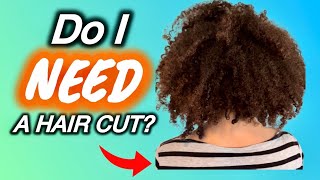 Why you should Dry Cut Curly Hair  Curly Haircut  Power of a Haircut  Curls by Sharlene [upl. by Anoet895]