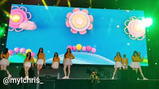 Momoland Music Box 오르골 ORGEL MOMOLANDinDubai [upl. by Cullie]