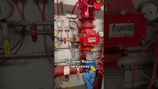 SPRINKLER risers clack valves  plant rooms tools trade DIY [upl. by Leerzej]