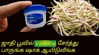 ஜாதிப்பூ ஒரு வாரம் வரை வாடாமல் இருக்க இப்படி செஞ்சு பாருங்க jathi poo vadamal iruka tips [upl. by Aldin895]