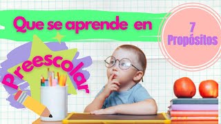 ¿Qué se aprende en preescolar Propósitos de la educación preescolar 🇲🇽 [upl. by Ottie]