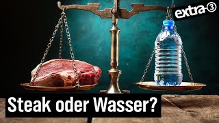 Globale Wasserkrise Durstige Kühe und trockene Wüsten  extra 3  NDR [upl. by Nattirb53]