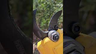 Update Dewalt electric pruners vs bamboo 6 hours of use solidbamboo [upl. by Whitten]