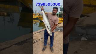 Kingfish benfits  7 కేజీల కోనం చేపను హైదరాబాద్ కి పంపించాను  kingfish beachboynaidu seafood [upl. by Llednav]