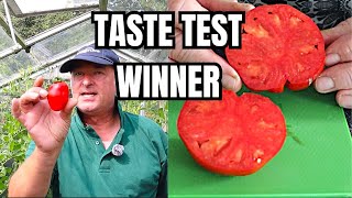 The Ultimate Tomato Taste Test Showdown Heirloom vs Hybrid  Tomato Taste Test Video 2024 [upl. by Mandeville824]