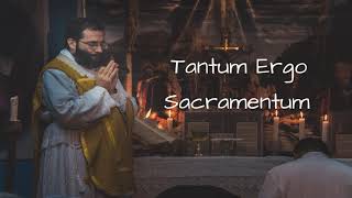 Tantum Ergo Sacramentum [upl. by Soilisav]