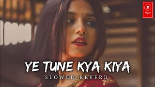 Yeh Tune Kya Kiya Song  Slowed Reverb  Lofi Music  Pritam  Akshay KumarSonakshi Sinha ESeries [upl. by Mae]