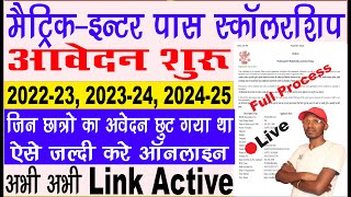 Bihar Matric Pass Scholarship 2024  Bihar Inter Pass Scholarship 2024  दुबारा आवेदन शुरू हो गया [upl. by Northrup641]