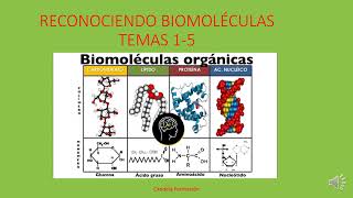 Ejercicios Reconociendo biomoléculas orgánicas [upl. by Adrahs]