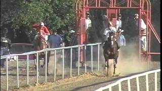 Carreras de caballos en chicago [upl. by Hansen989]