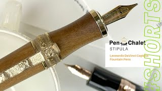 Stipula Leonardo Davinci Capless Fountain Pens Stunning Design amp Tribute [upl. by Ahsimot]