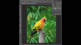 How to use the Gaussian blur effect Blur background in Photo with Photoshop  bumper bumpertips [upl. by Calen859]