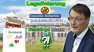 Hohe Strafen nach Cannabis Legalisierung  Grenzwert Besitz und Führerschein [upl. by Aneeram]