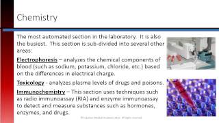 Phlebotomy Lesson 16 Clinical Lab Sections [upl. by Acinnej558]