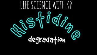 HISTIDINE Degradation Vlog 15 [upl. by Adnopoz]