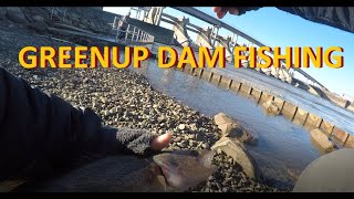 AMAZING Fishing At GREENUP DAM [upl. by Bohun]